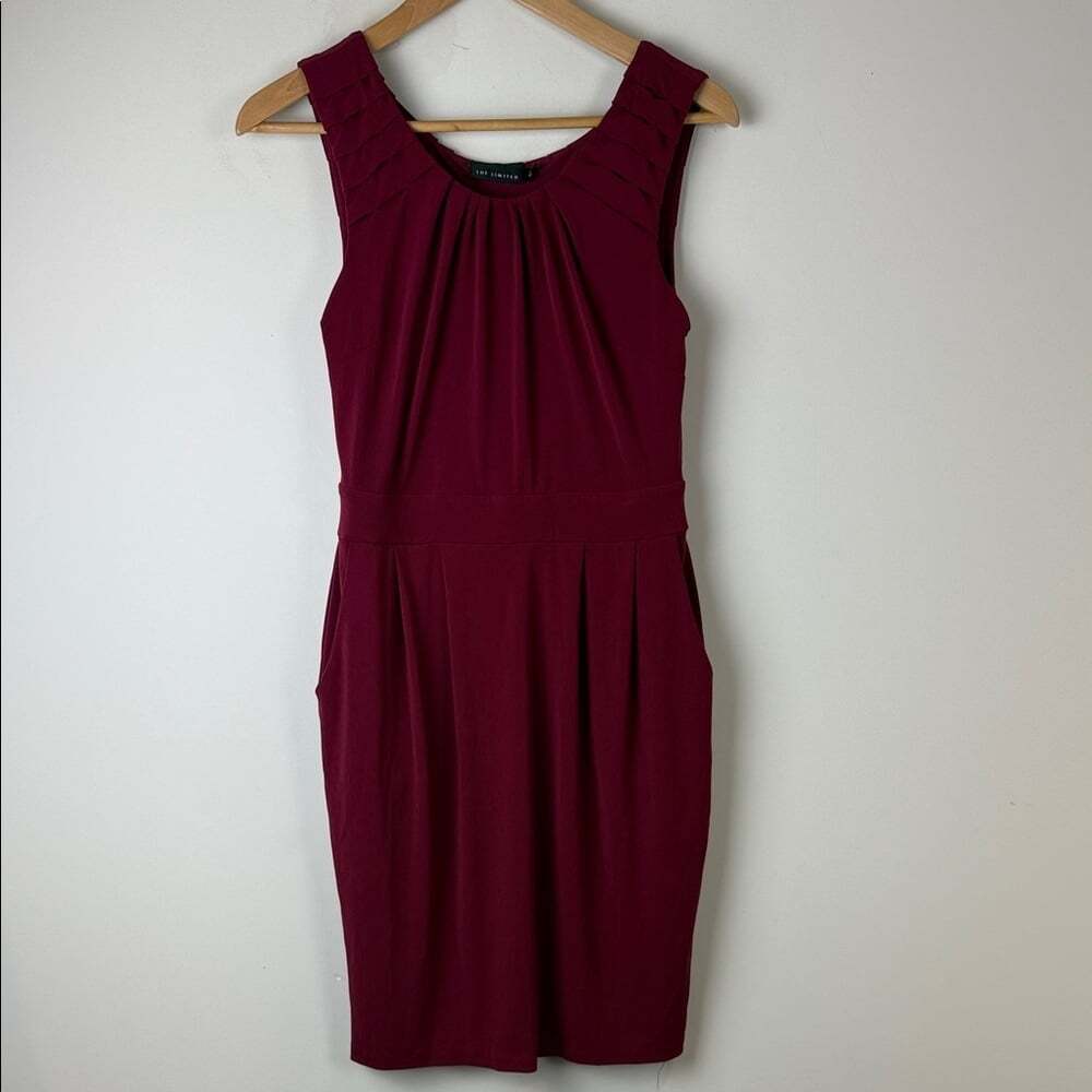 The Limited Rich Burgundy Mini Dress Size Small